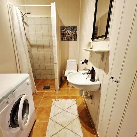 Arthur Brygga Apartment *