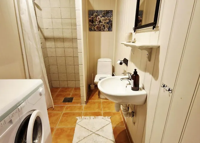 Arthur Brygga Apartment *